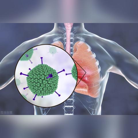 澳门精准四肖期期准免费公式功能|系统分析各种落实方法_实况款.3.528