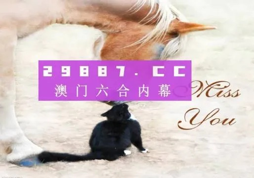 4949澳门资料免费公开2023年|科学解答解释落实_标准版Meituan.0.555